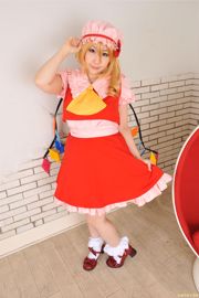 丹雫ひよ "Touhou Project" Flandre Scarlet [HiyoHiyo Club]