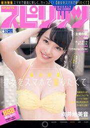 [Wöchentliche große Comic-Geister] Mukaiji Miyin 2017 No.32 Photo Magazine